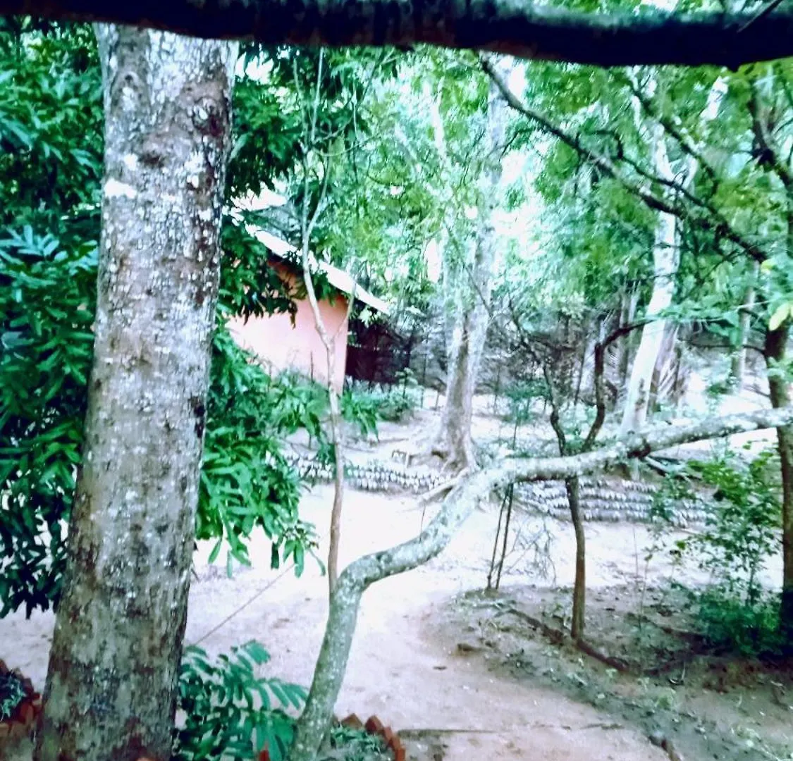 Habarana City Hostel