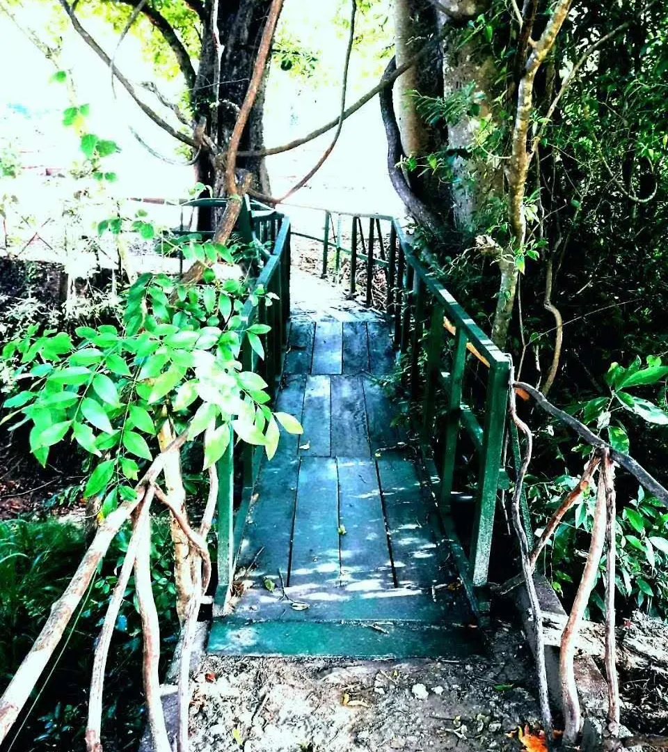 Habarana City Hostel Guest house