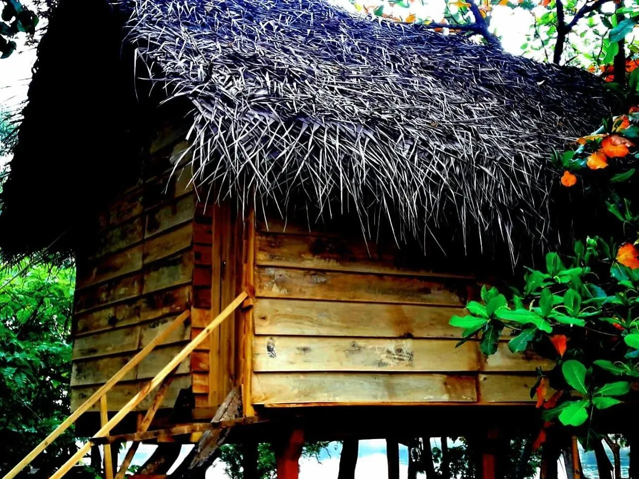 Habarana City Hostel 0*,