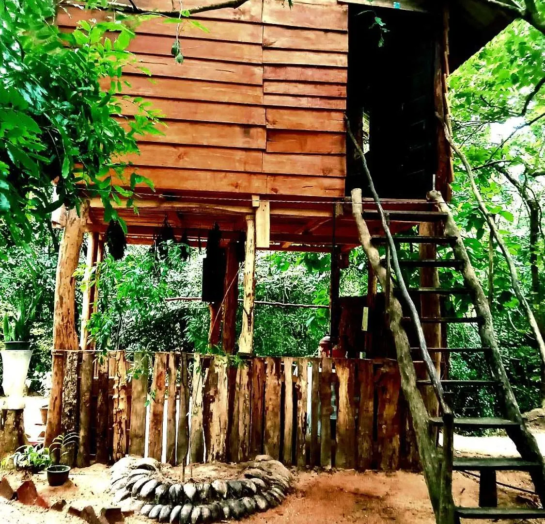 Habarana City Hostel Guest house