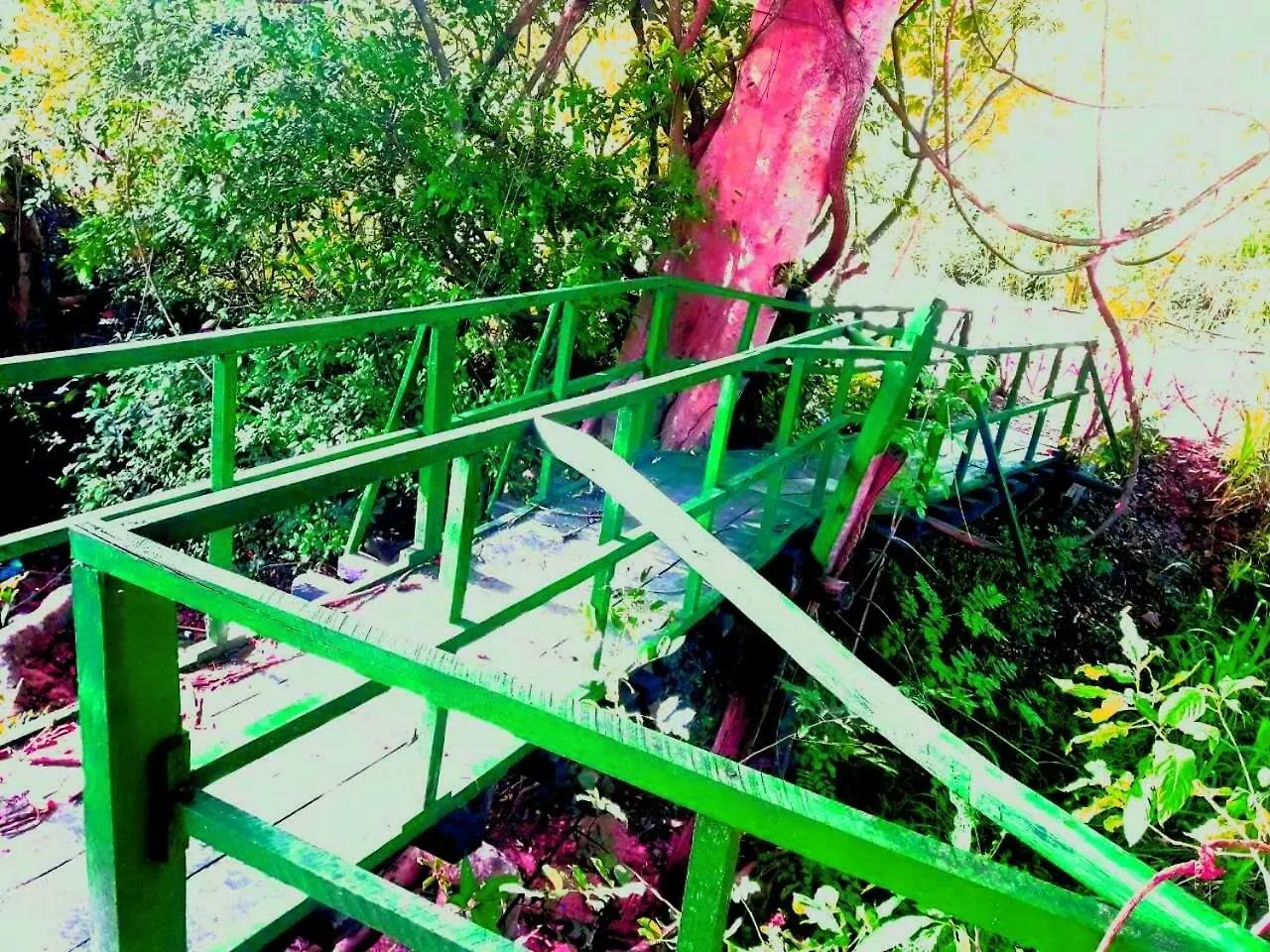 Habarana City Hostel